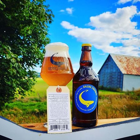 La Baleine Endiablee Microbrasserie Riviere-Ouelle Bagian luar foto